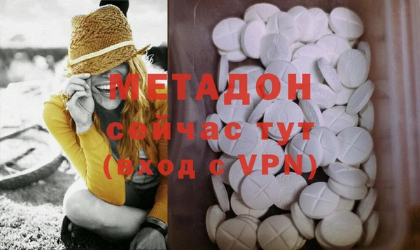 сатива Беломорск